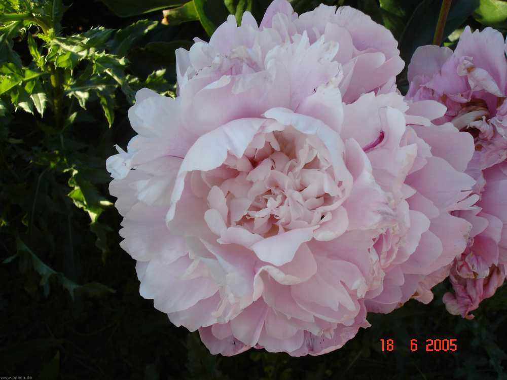 dsc08693